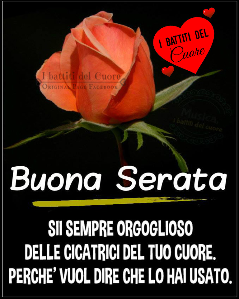 Buona Serata. Sii sempre orgoglioso delle cicatrici del tuo cuore, perché vuol dire che lo hai usato.