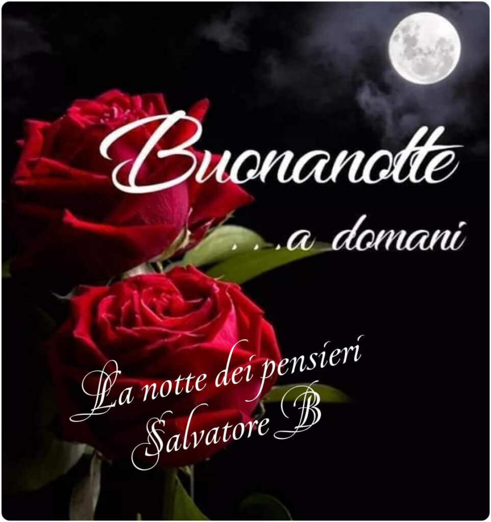 Buonanotte Amore, a domani (La notte dei pensieri Salvatore B.)