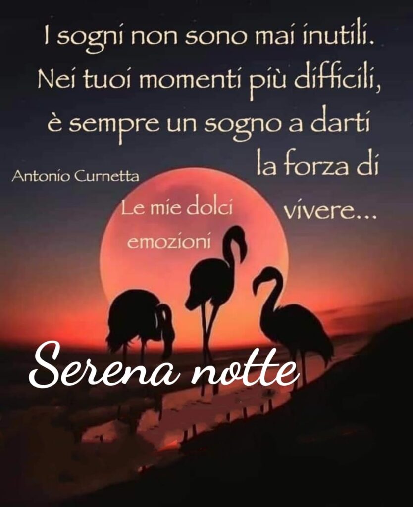 I sogni non sono mai inutili. Nei tuoi momenti più difficili, è sempre un sogno a darti la forza di vivere... Serena notte