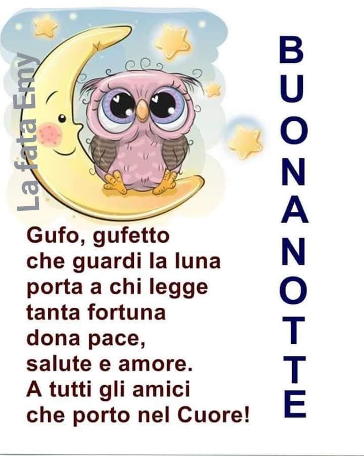 Buonanotte. gufo, gufetto che guardi la luna, porta a chi legge tanta fortuna, dona pace, salute e amore, a tutti gli amici che porto nel cuore!