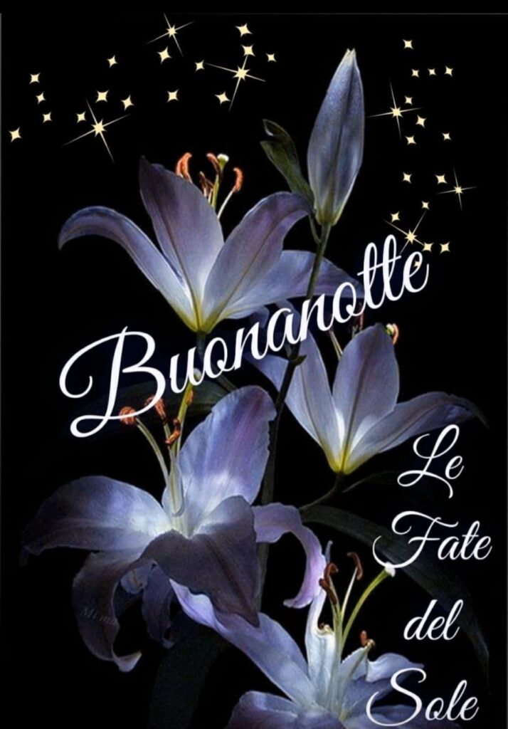 Buonanotte fiori