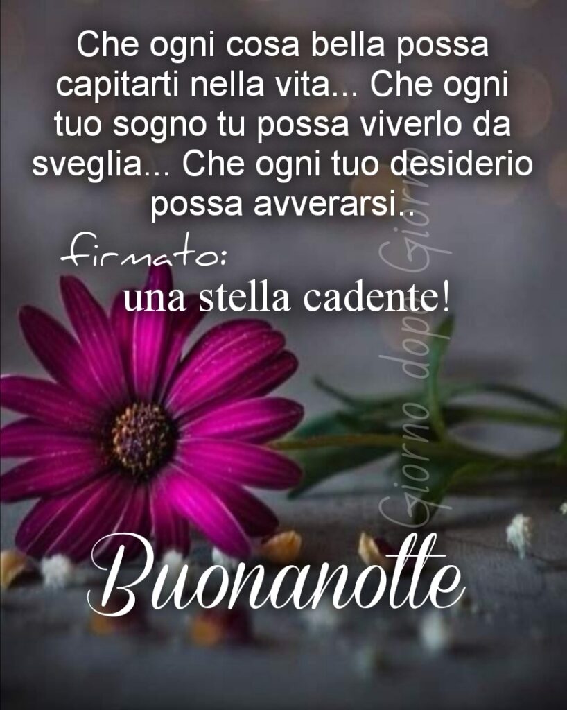 Che ogni cosa bella possa capitarti nella vita... Che ogni tuo sogno tu possa viverlo da sveglia... Che ogni tuo desiderio possa avversarsi... formato: Una stella cadente! Buonanotte