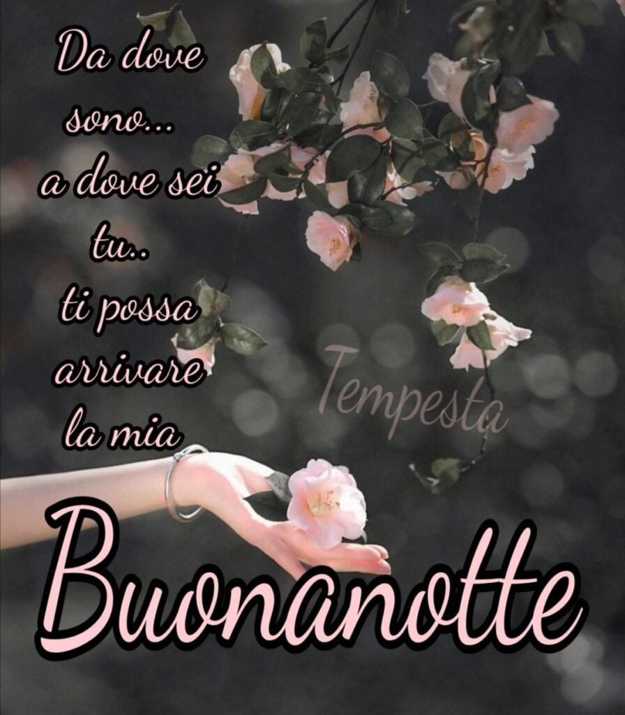 Da dove sono... a dove sei tu... ti possa arrivare la mia Buonanotte