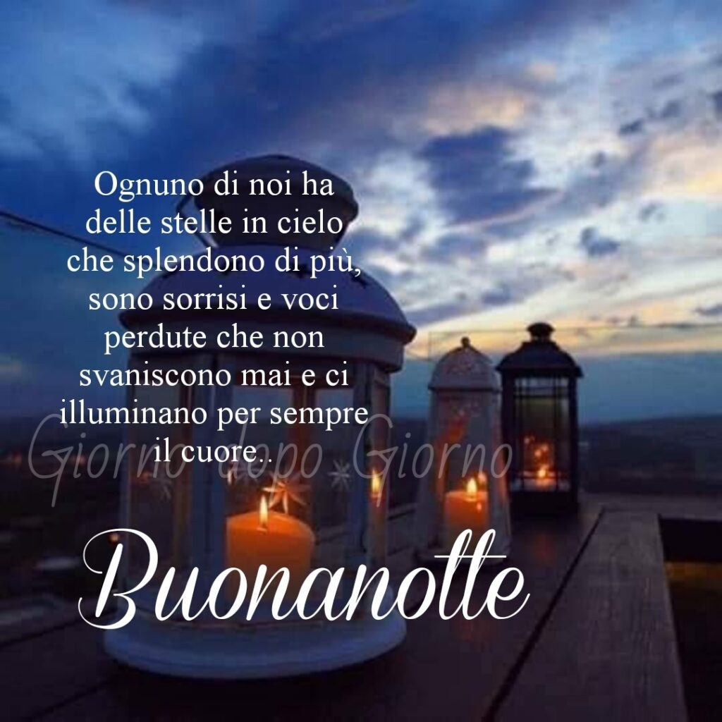 Ognuno di noi ha delle stelle in cielo che splendono di più, sono sorrisi e voci perdute che non svaniscono mai e ci illuminano per sempre il cuore. Buonanotte (Giorno dopo giorno)