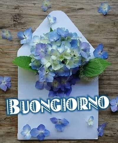 Buongiorno