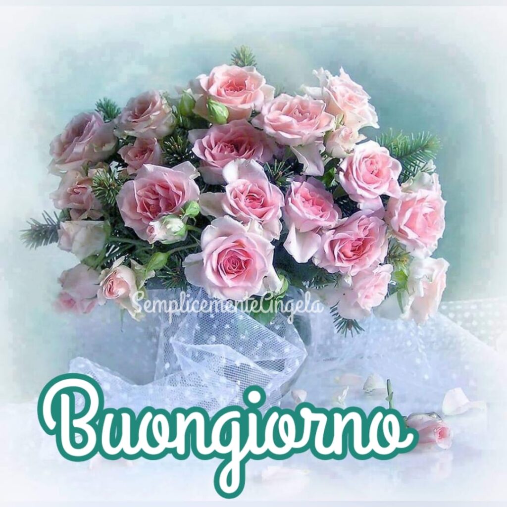 Buongiorno fiori