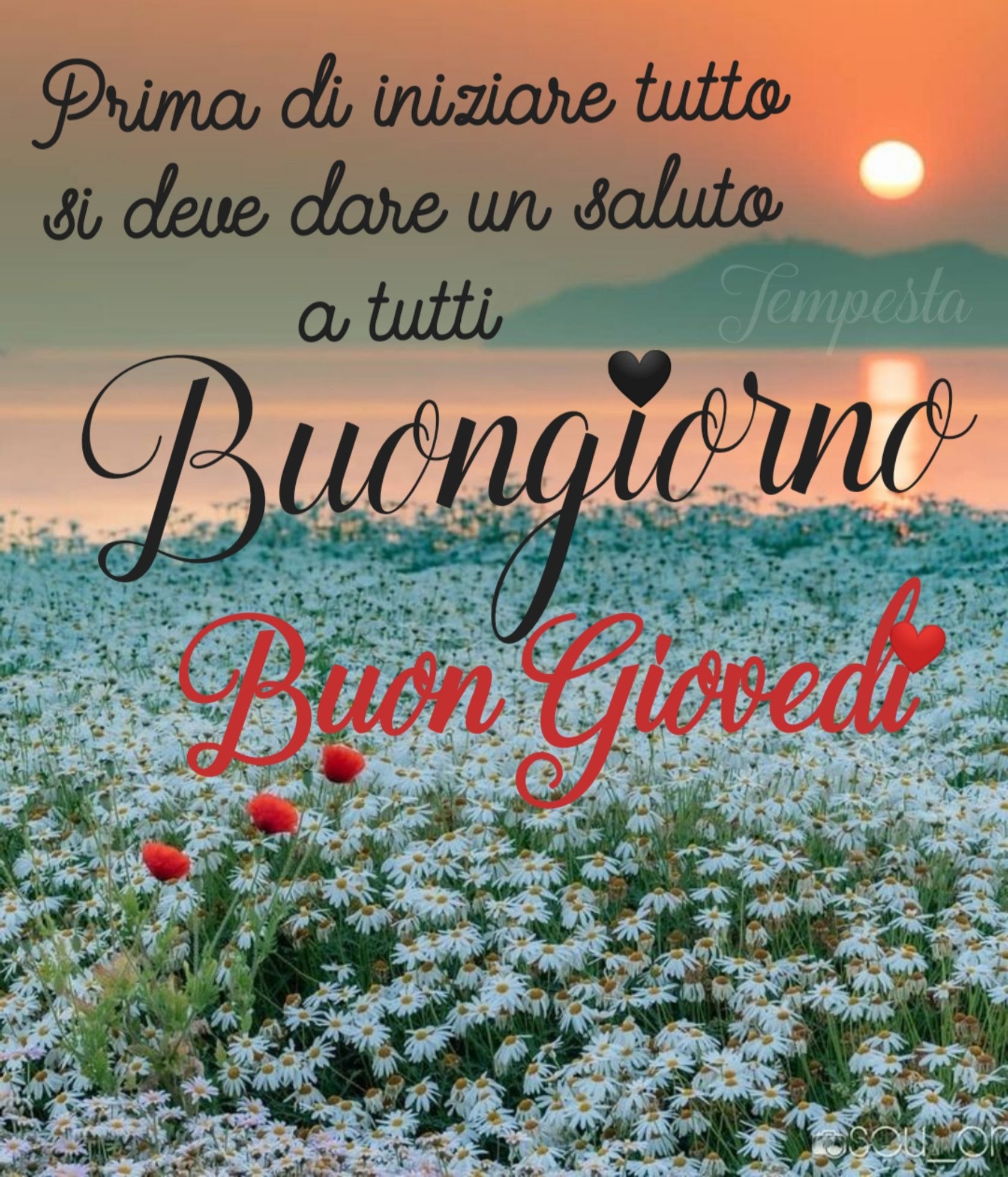 50+ Buon Giovedì link con frasi da condividere CiaoBuongiorno.it