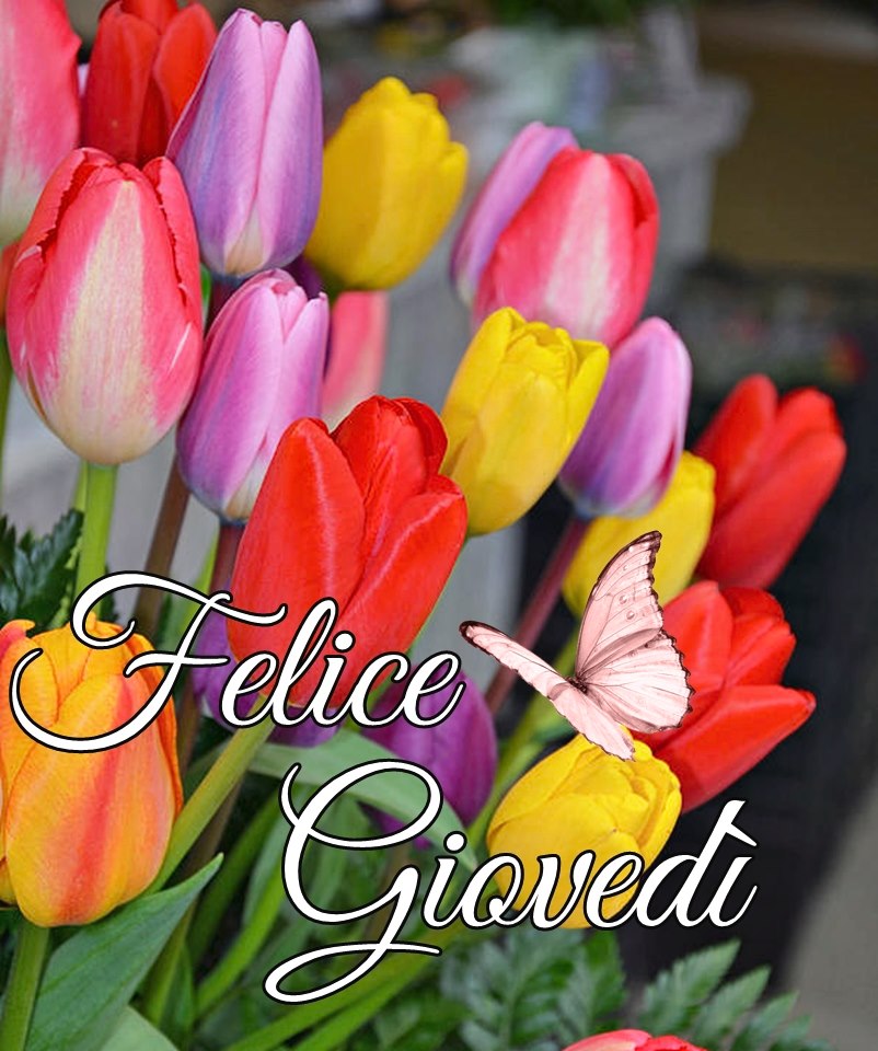 Felice Giovedì con tulipani ed una farfalla