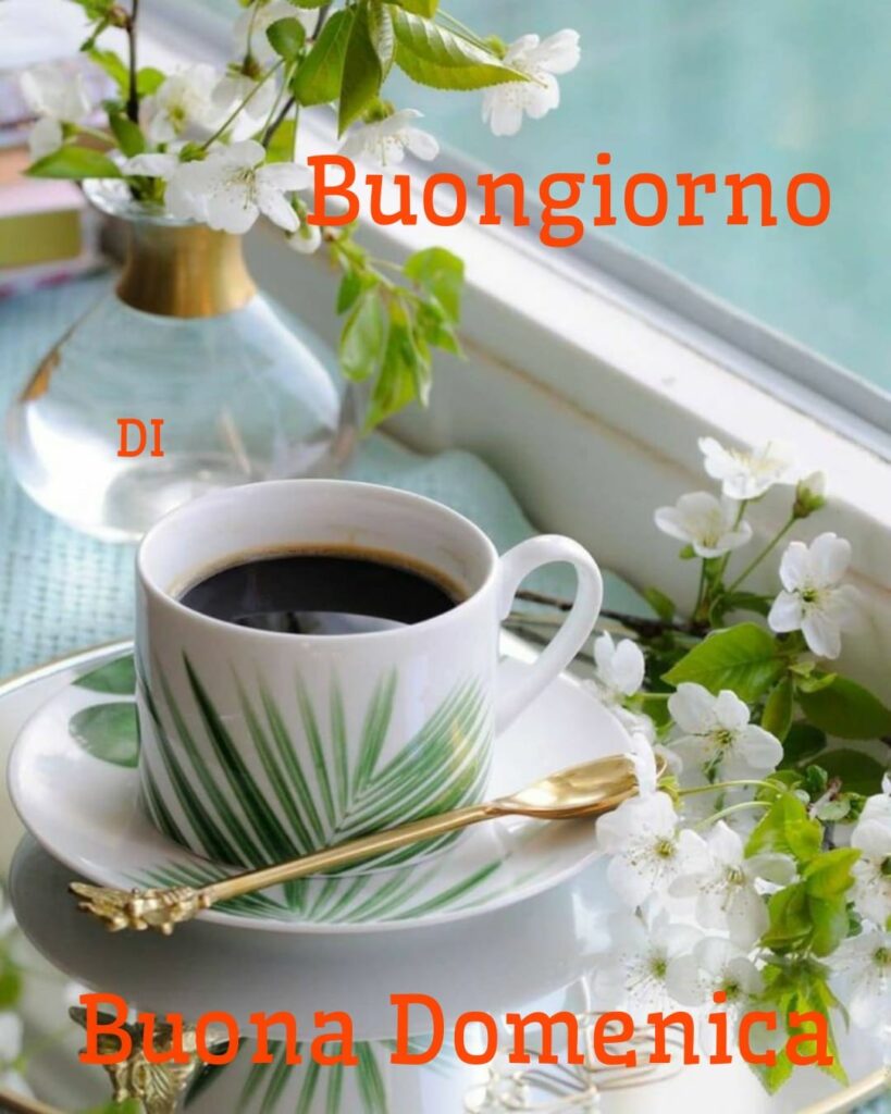 Buona Domenica, Buongiorno fiori