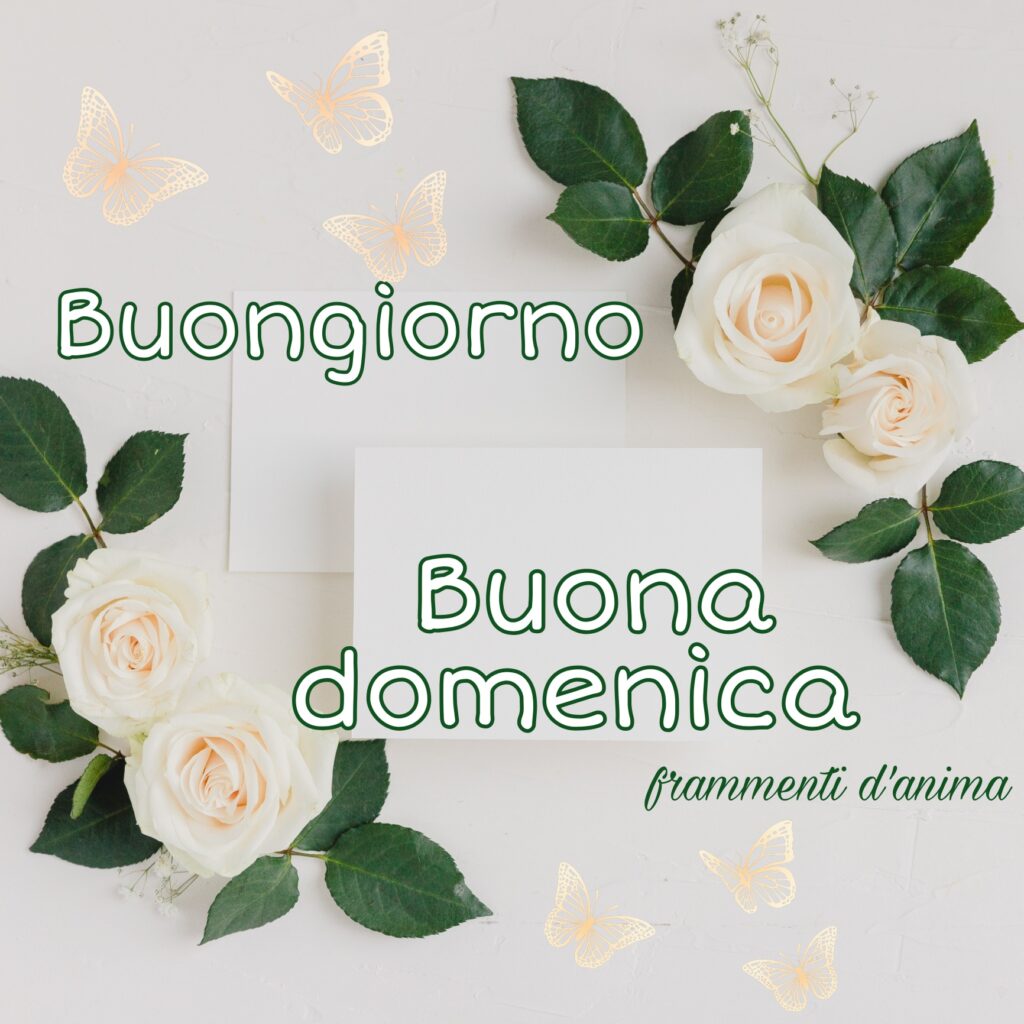 Buon giorno e buona domenica con le rose bianche