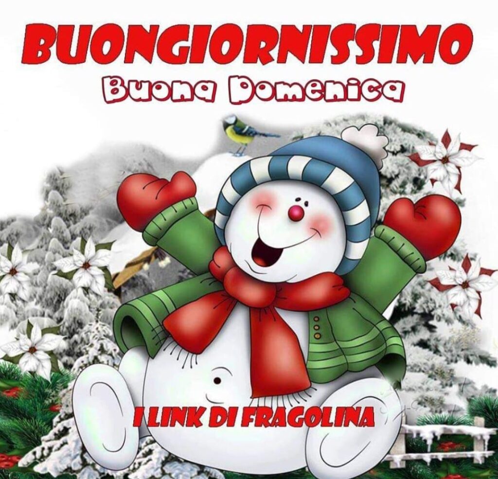 Buongiornissimo buona domenica... il Natale si avvicina!