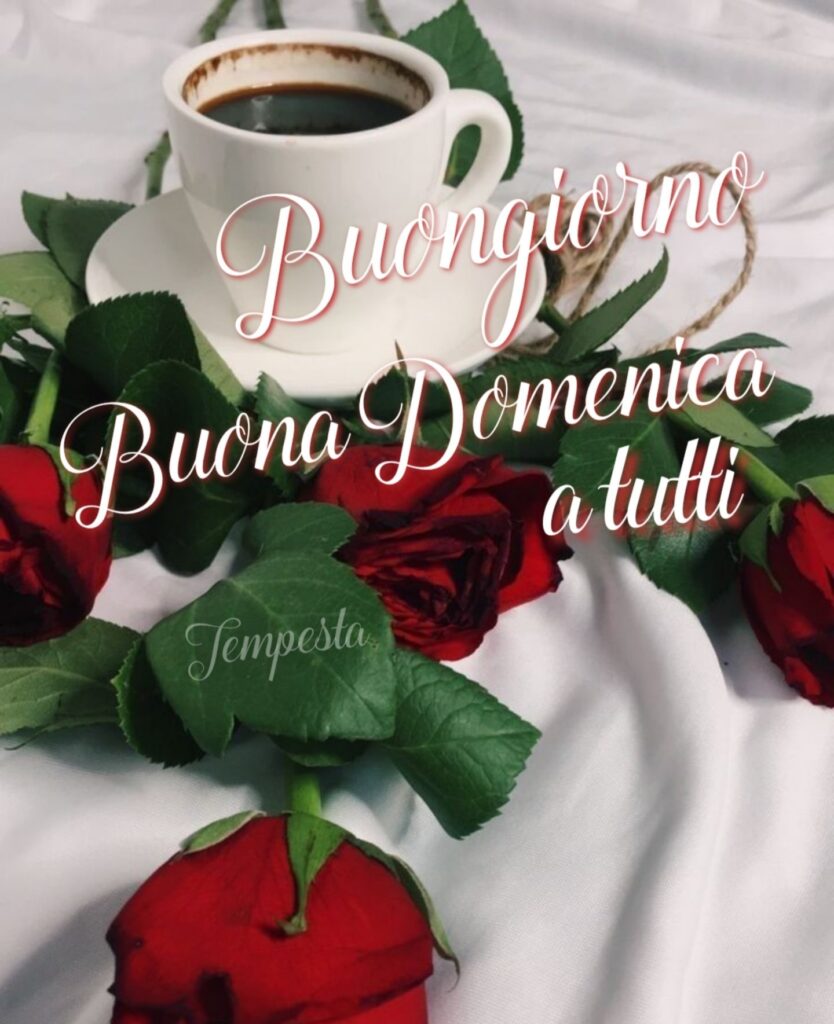 Buongiorno buona domenica a tutti (Tempesta)