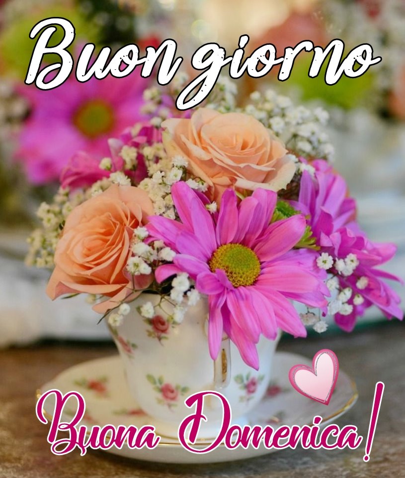 Buongiorno e buona domenica primaverile