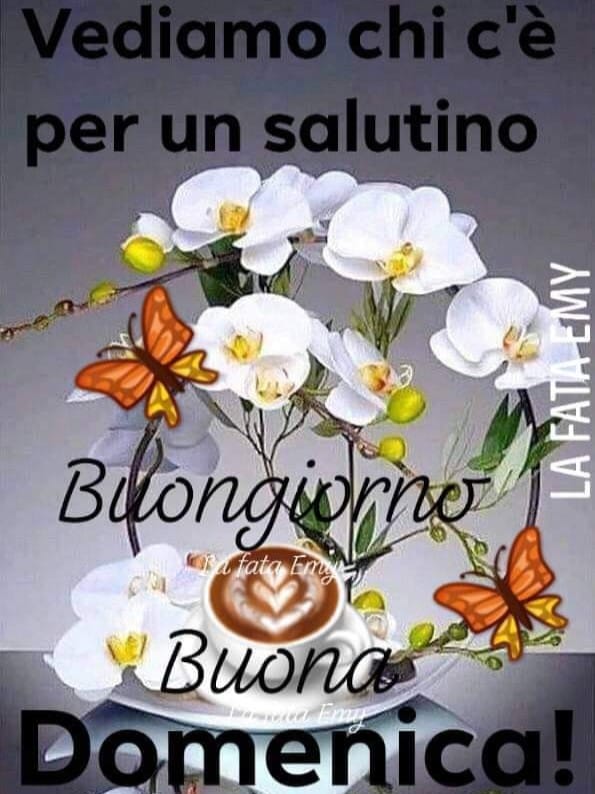 Vediamo chi c'è per un salutino, buongiorno buona domenica!