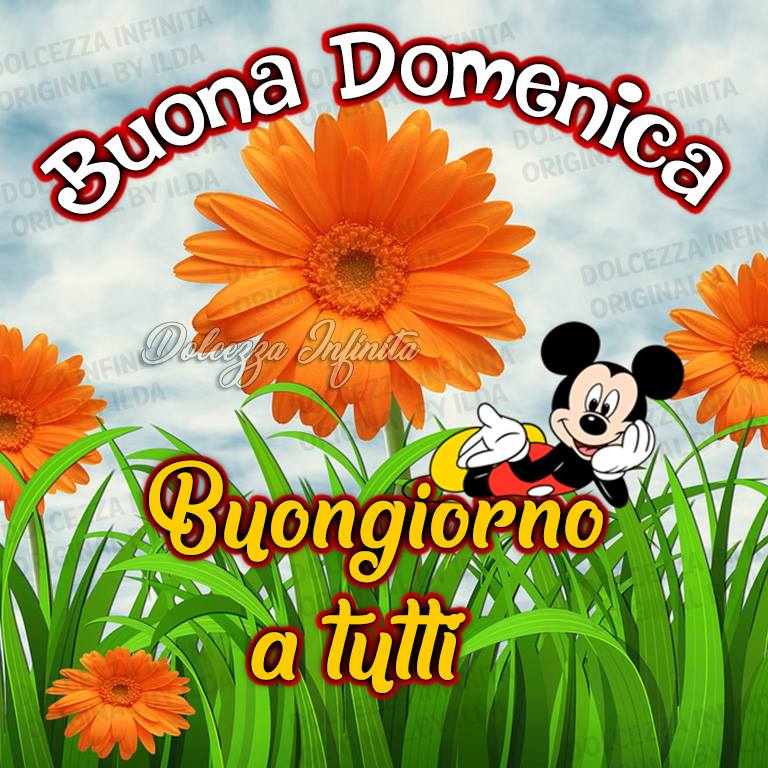 Buona Domenica, buongiorno a tutti