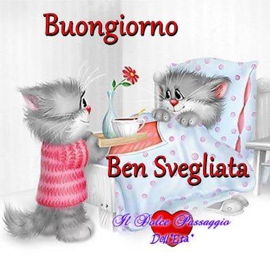 Buongiorno, ben svegliata