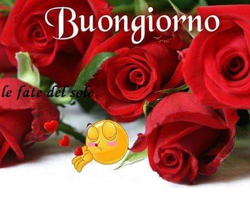 Buongiorno, queste rose rosse sono per te!