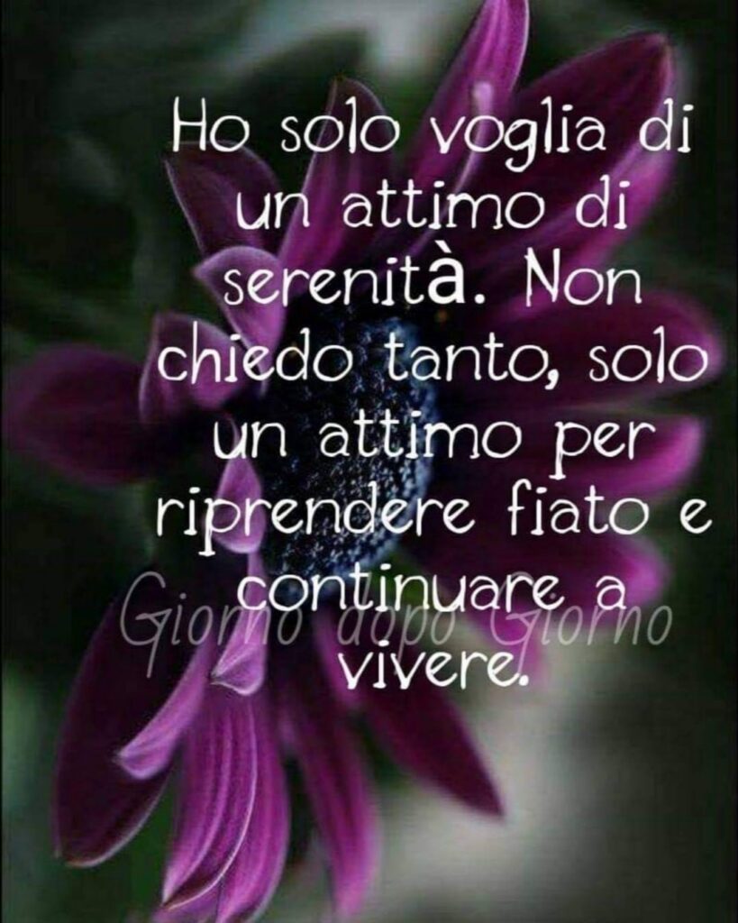 Ho solo voglia di un attimo di serenità. Non chiedo tanto, solo un attimo per riprendere fiato e continuare a vivere. (Giorno dopo Giorno)