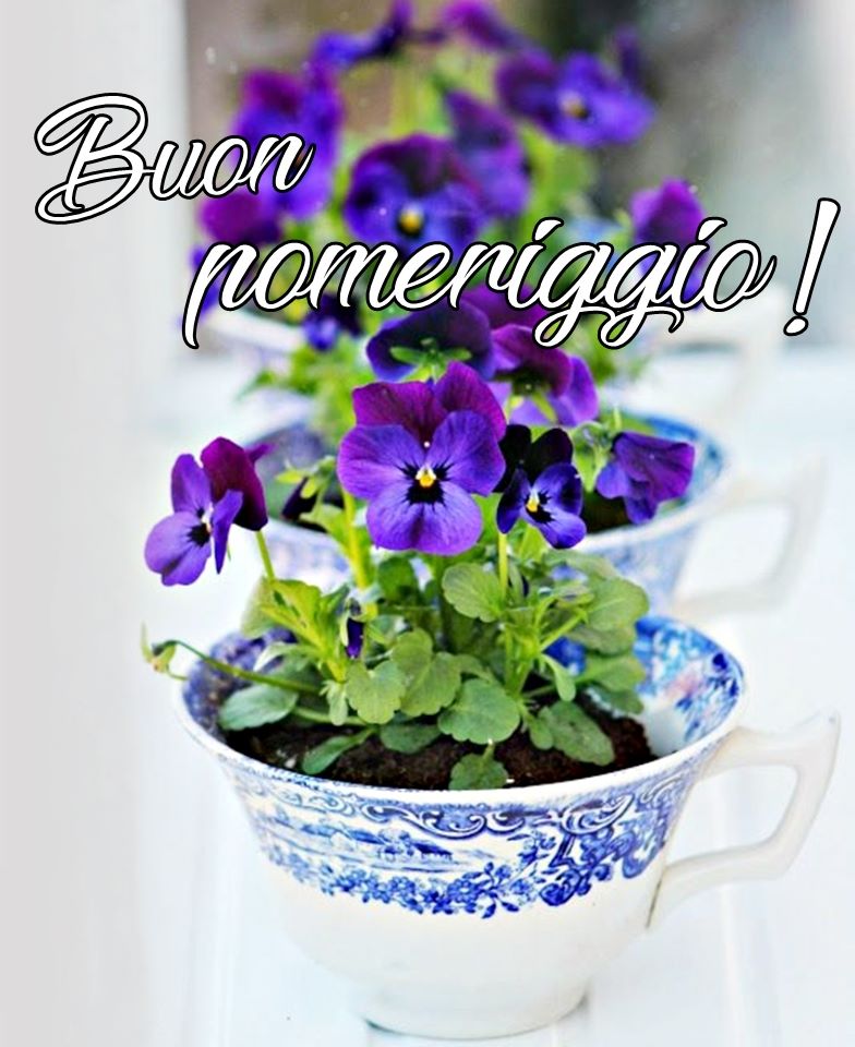 Buon pomeriggio! - immagini con i fiori