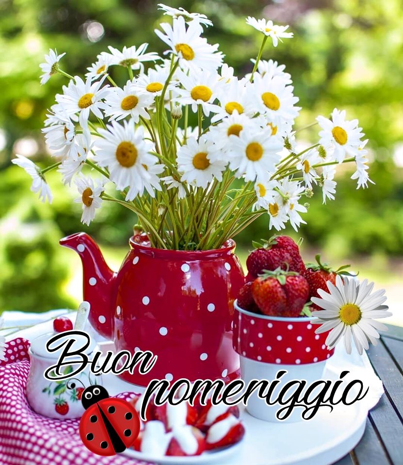Buon pomeriggio fortunato