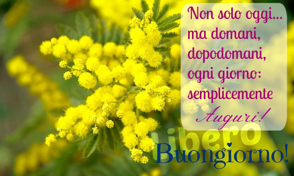 Non solo oggi... ma domani, dopodomani, ogni giorno: semplicemente auguri! Buongiorno (Libero)