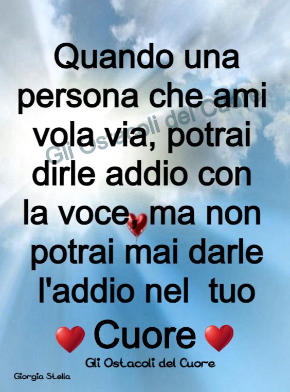 Quando una persona che ami vola via, potrai dirle addio con la voce, ma non potrai mai darle l'addio nel tuo cuore.