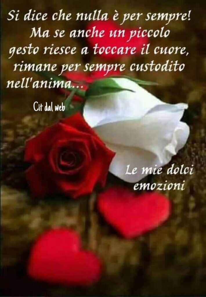 Si dice che nulla è per sempre! Ma se anche un piccolo gesto riesce a toccare il cuore, rimane per sempre custodito nell'anima... (Cit. dal web)