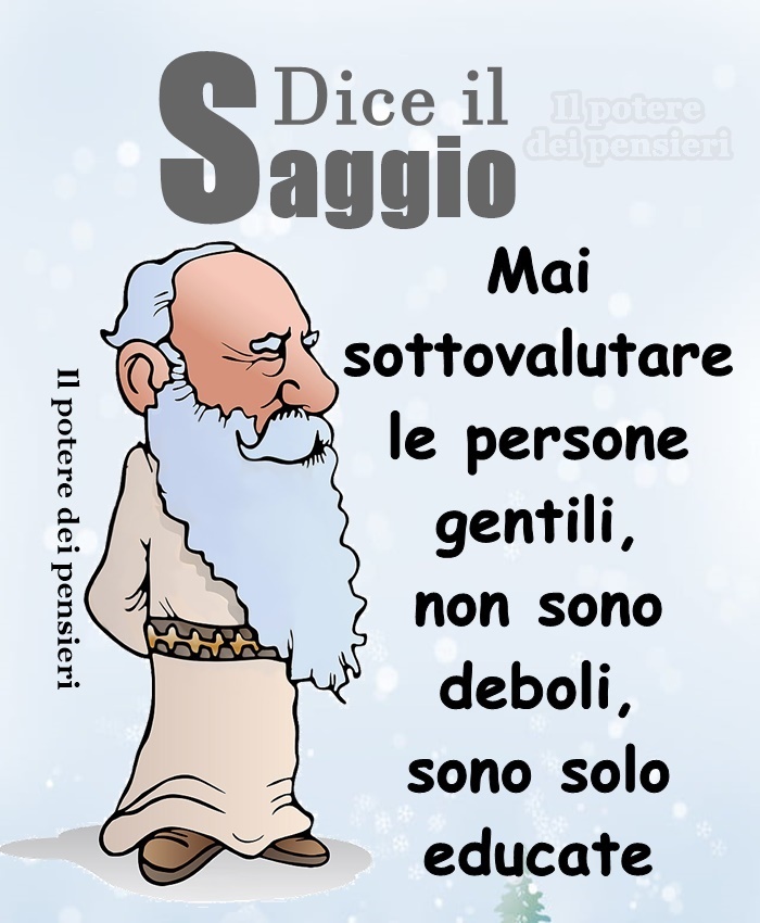 Dice il saggio: Mai sottovalutare le persone gentili, non sono deboli, sono solo educate.