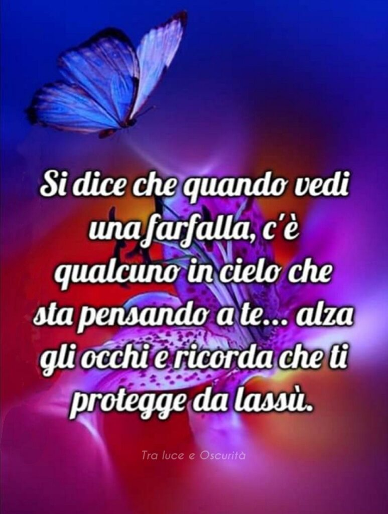 Si dice che quando vedi una farfalla, c'è qualcuno in cielo che sta pensando a te... alza gli occhi e ricorda che ti protegge da lassù.