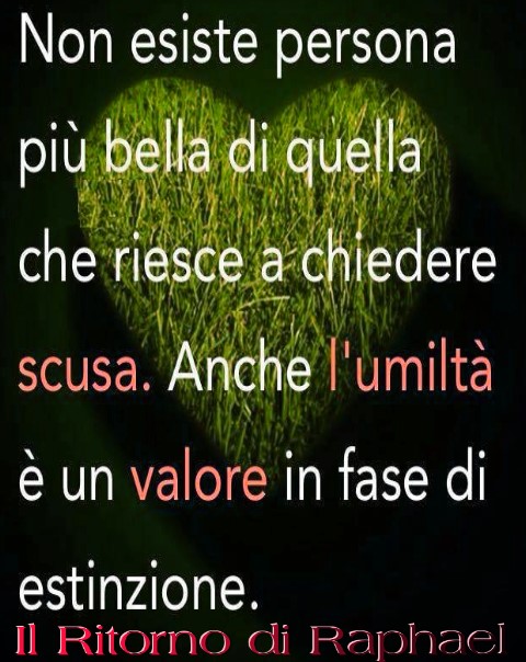 Non esiste persona più bella di quella che riesce a chiedere scusa. Anche l'umiltà è un valore in fase di estinzione.