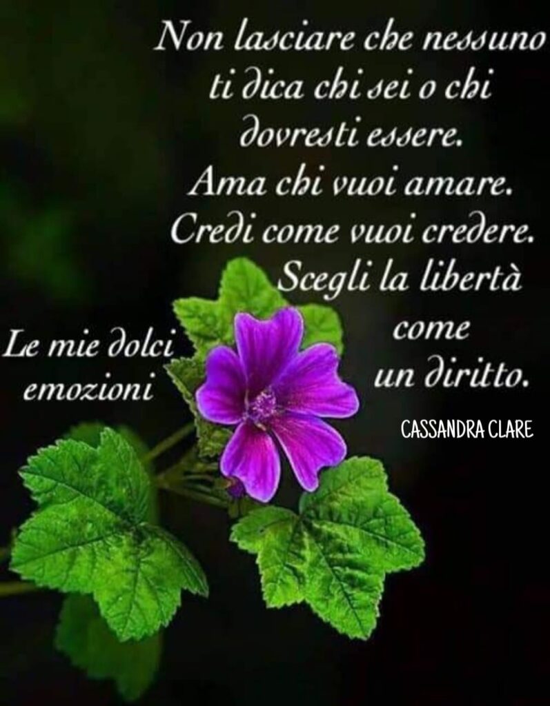 Non lasciare che nessuno ti dica chi sei o chi dovresti essere. Ama chi vuoi amare. Credi come vuoi credere. Scegli la libertà come un diritto. (Cassandra Clare)