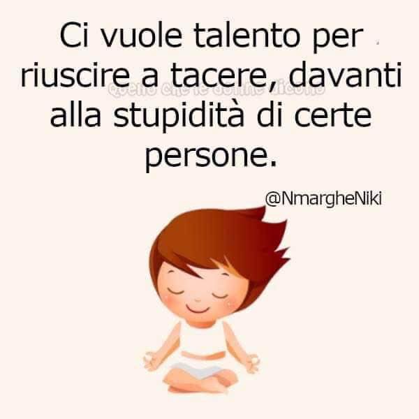 Ci vuole talento per riuscire a tacere, davanti alla stupidità di certe persone. (NmargheNiki)