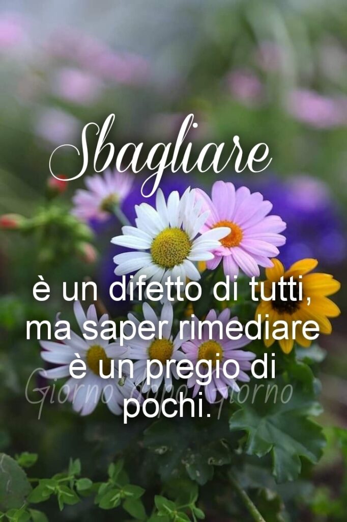 Sbagliare è un difetto di tutti, ma saper rimediare è un pregio di pochi.