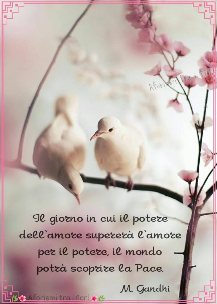 Il giorno in cui il potere dell'amore supererà l'amore per il potere, il mondo potrà scoprire la pace. (M. Gandhi)