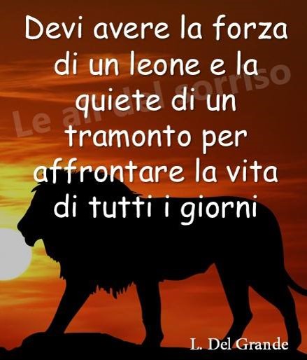 Devi avere la forza di un leone e la quiete di un tramonto per affrontare la vita di tutti i giorni