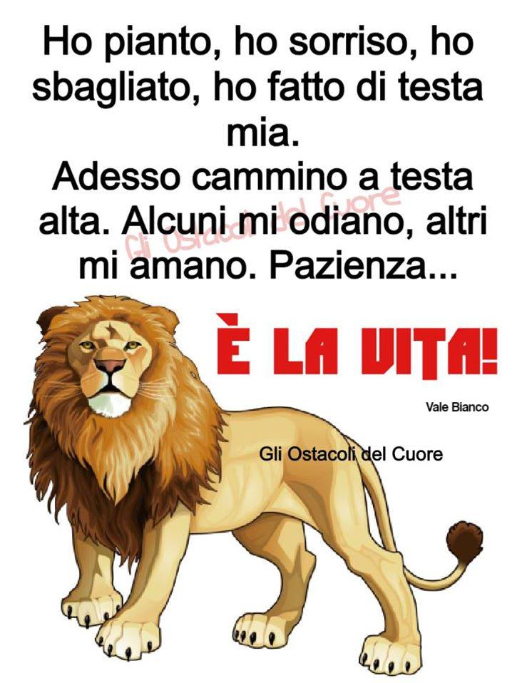 Ho pianto, ho sorriso, ho sbagliato, ho fatto di testa mia. Adesso cammino a testa alta. Alcuni mi odiano, altri mi amano. Pazienza... È LA VITA!