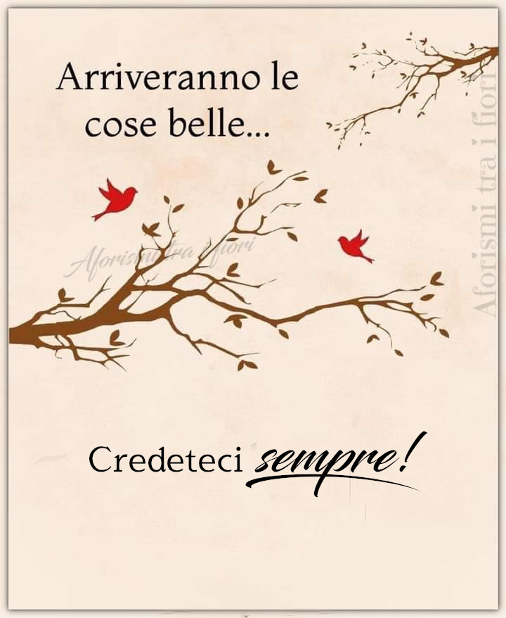 Arriveranno le cose belle... credeteci sempre !