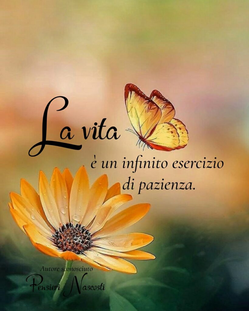 La vita è un infinito esercizio di pazienza. (Autore sconosciuto)