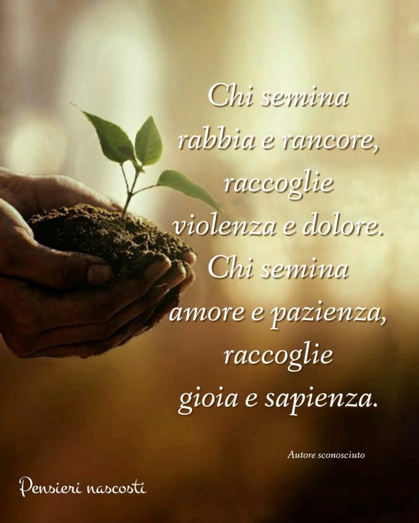 Si Raccoglie Ciò Che Si Semina Frasi 37 Frasi sulla Vita per riflettere - CiaoBuongiorno.it