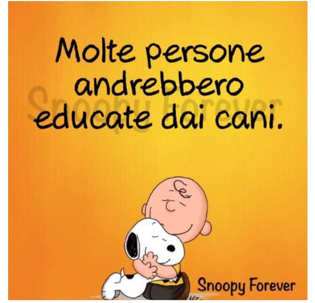 Molte persone andrebbero educate dai cani.