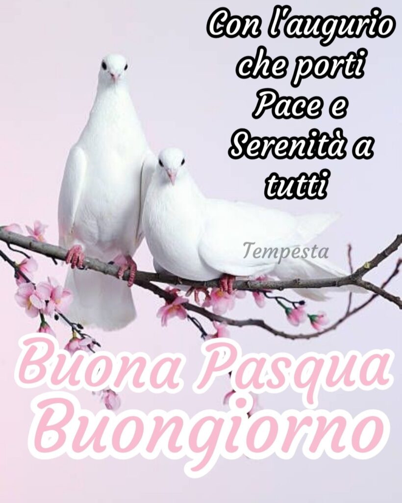 Con l'augurio che porti pace e serenità a tutti... Buona Pasqua Buongiorno