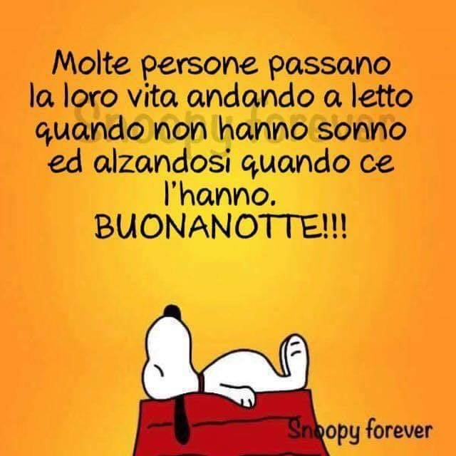 Molte persone passano la loro vita andando a letto quando non hanno sonno ed alzandosi quando ce l'hanno. BUONANOTTE!!! (Snoopy Forever)