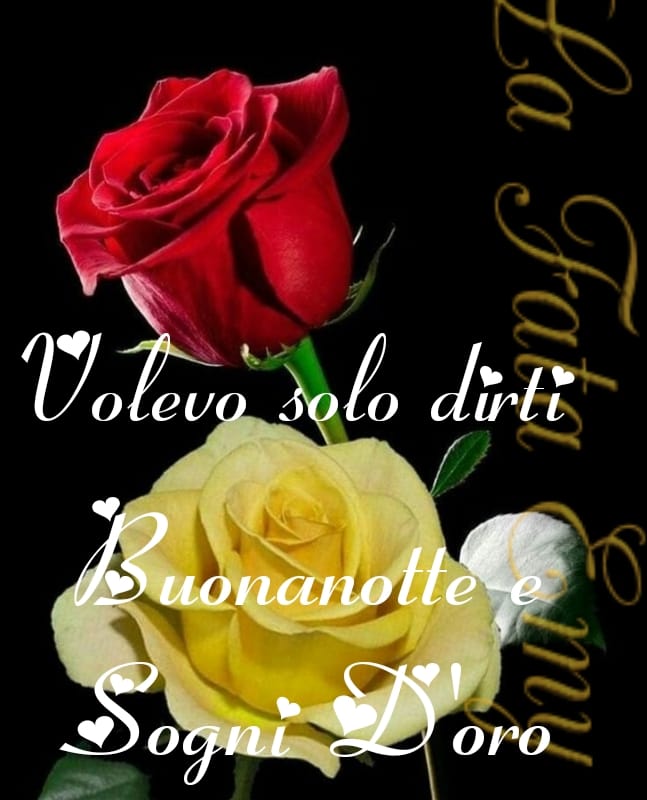 Volevo solo dirti buonanotte e sogni d'oro