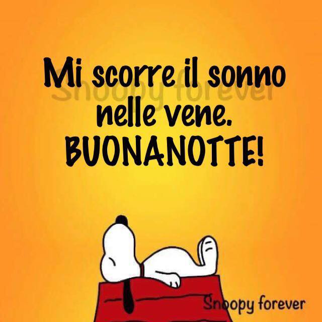 Mi scorre il sonno nelle vene. Buonanotte !! - immagini divertenti Snoopy