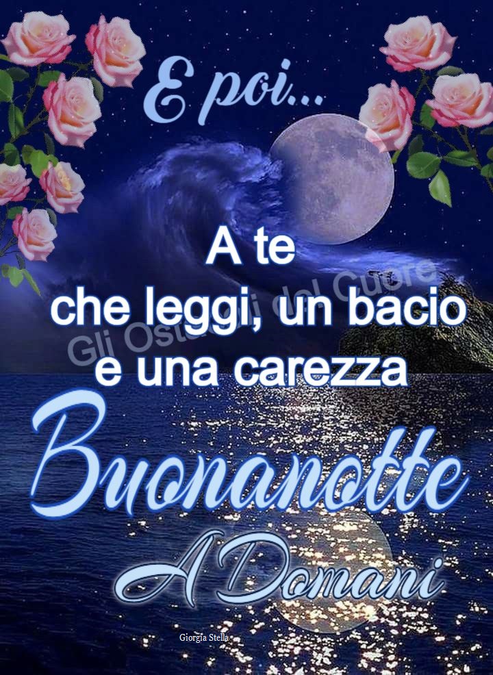 E poi... a te che leggi, un bacio e una carezza, buonanotte a domani