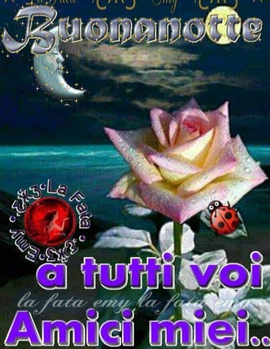 Buonanotte a tutti voi amici miei...