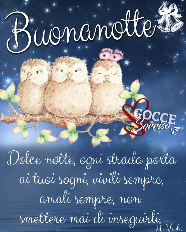 Buonanotte. Dolce notte, ogni strada porta ai tuoi sogni, vivili sempre, amali sempre, non smettere mai di inseguirli. (M. Viola)