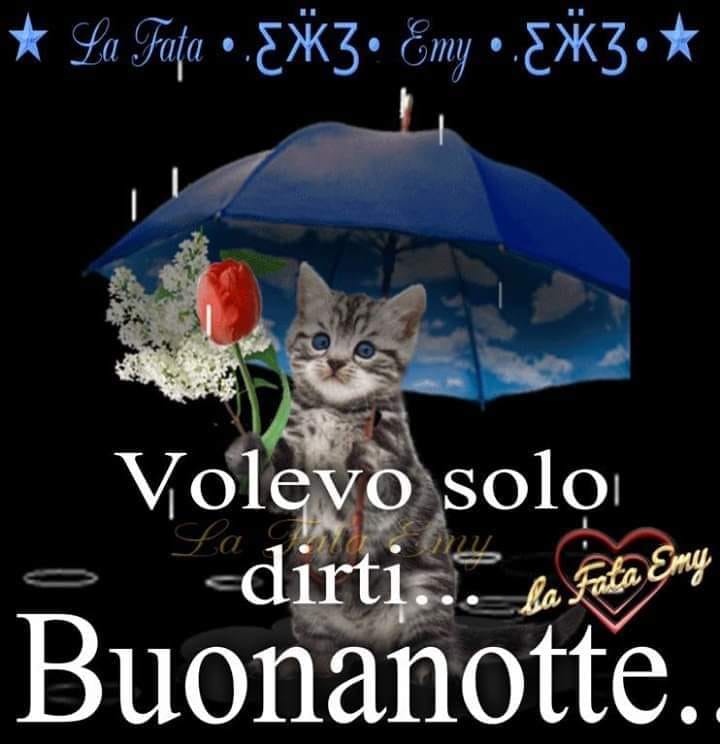 Volevo solo dirti... Buonanotte... con la pioggia