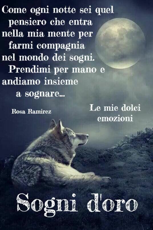 Come ogni notte sei quel pensiero che entra nella mia mente per farmi compagnia nel mondo dei sogni. Prendimi per mano e andiamo insieme a sognare. Sogni d'Oro