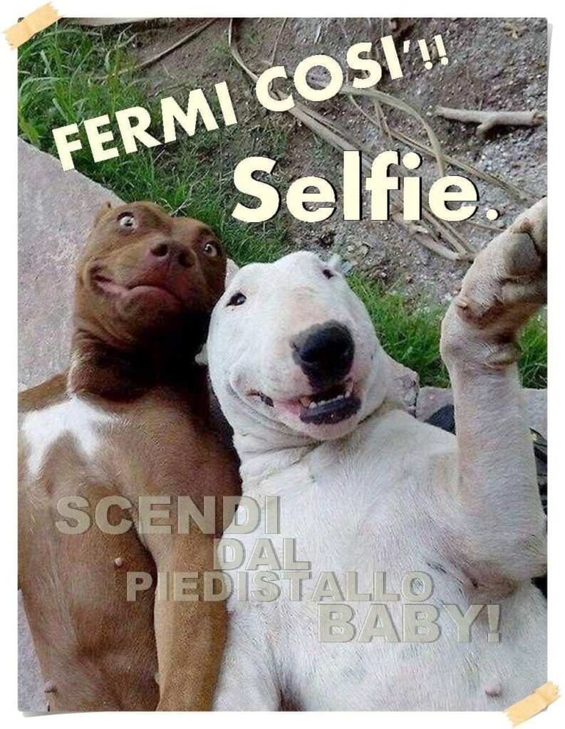 FERMI COSÌ!! Selfie.